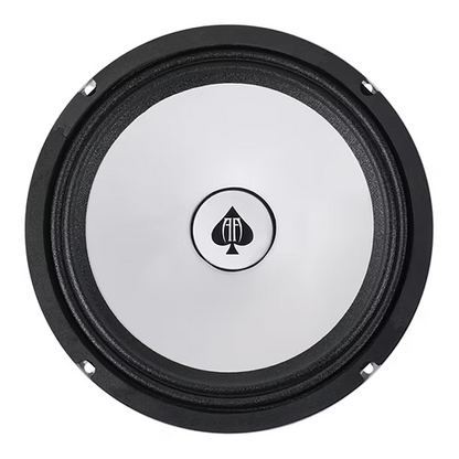 Audio Ace Diamond CB10 10" 250W RMS 4-Ohm PAIR Car Audio Speakers.