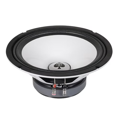 Audio Ace Diamond CB10 10" 250W RMS 4-Ohm PAIR Car Audio Speakers.