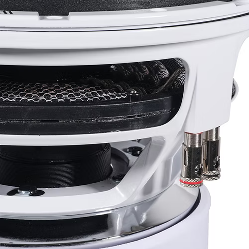 Audio Ace Jester 12" 3000W RMS Dual-4-Ohm Subwooofer With Dyeable Cone