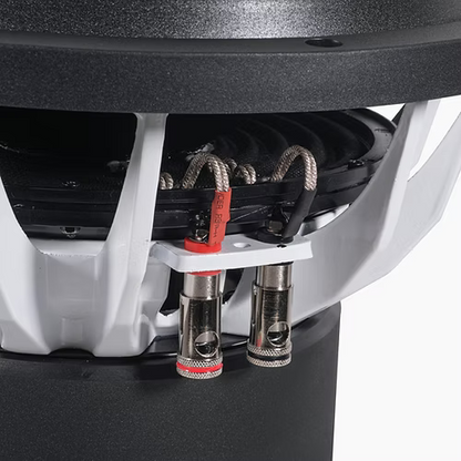 Audio Ace Joker 12" 1000W RMS Dual-4-Ohm Subwooofer