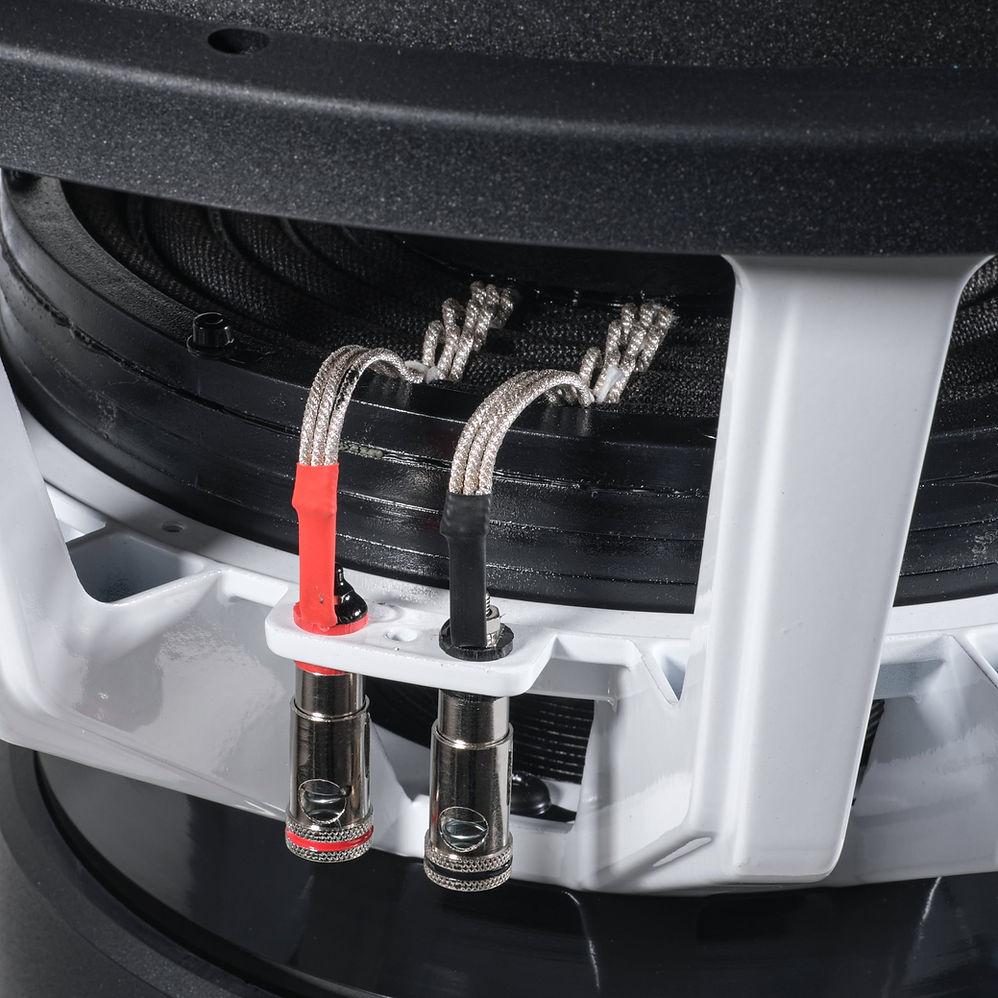 Audio Ace Rebellion 18" 4000W RMS Dual-1-Ohm Subwooofer